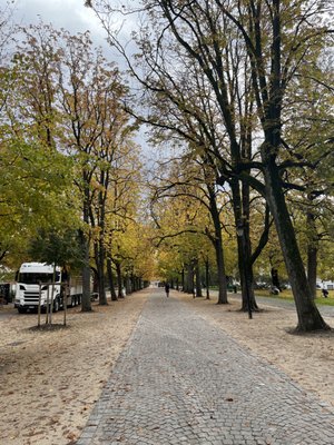 Reformation Wall by null