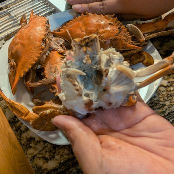 Cameron's Seafood - Crab - Seafood Markets Near Me - Rockville, Maryland Cameron's Seafood - Crab - Seafood Markets Near Me - Rockville, Maryland