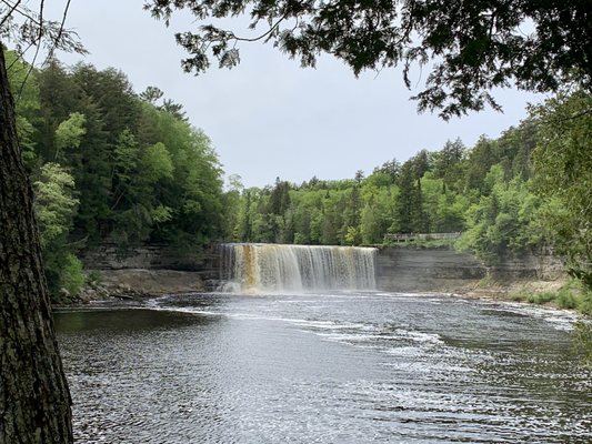Tahquamenon Falls State Park by null