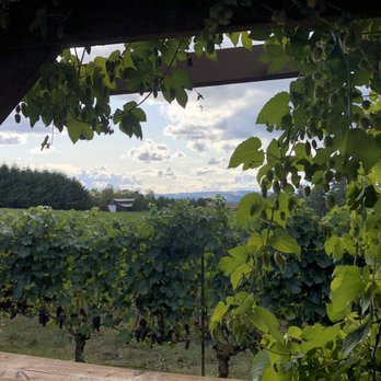 Archer Vineyard - Under a canopy of hops - Wine Tasting Room Near Me - Newberg, Oregon