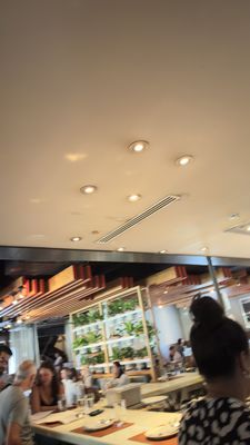 Luke's Kitchen and Bar by null