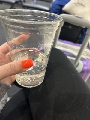 The Goddess and Grocer by null The Goddess and Grocer by null