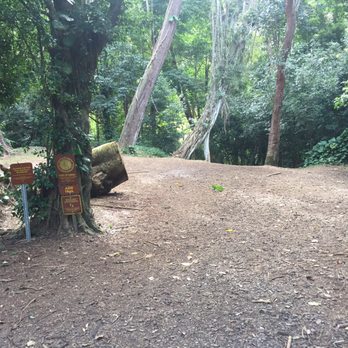 Judd Trail - Hiking Near Me - Honolulu, Hawaii