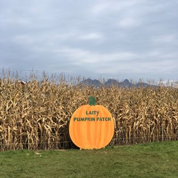 Laity Pumkin Patch - Front sign - Farmers Market Near Me - Maple Ridge, British Columbia Laity Pumkin Patch - Front sign - Farmers Market Near Me - Maple Ridge, British Columbia