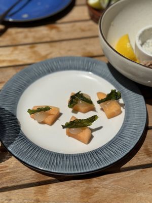 Fisch & Flore by null