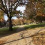 Photo of Sherman Circle Park