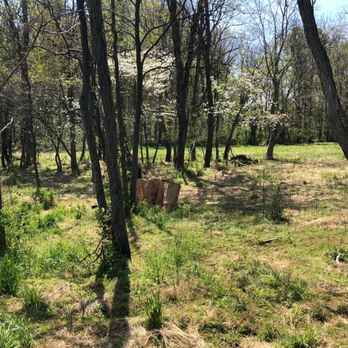 JT Lawn Care - My environmentally protected back yard - Landscaping Near Me