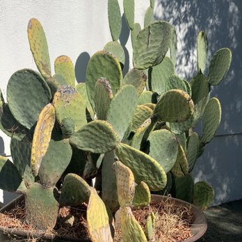 The Pottery - Art Classes Near Me - Atascadero, California