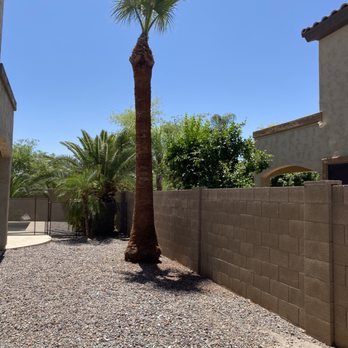 True Lawn and Tree Care - After - Tree Services Near Me True Lawn and Tree Care - After - Tree Services Near Me