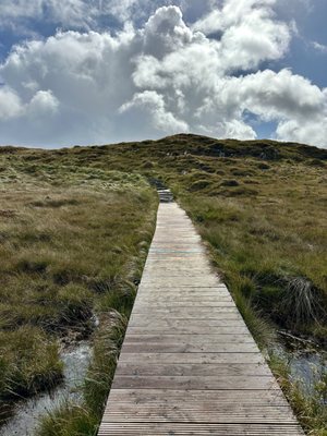 Connemara National Park by null