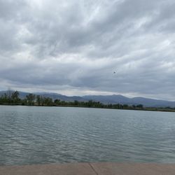 Coot Lake Open Space