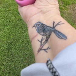 Colossal Tattoo - A California scrub jay, important to me after my mom passed.