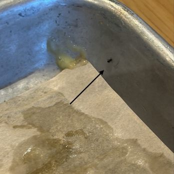 BJ's Restaurant & Brewhouse - The ant that crawled out from under the paper. - New American Near Me - Roseville, California