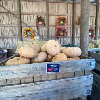 Larriland Farm - Fruits & Veggies Near Me - Woodbine, Maryland