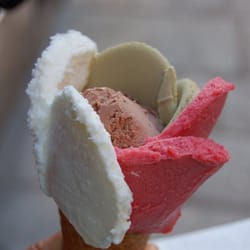 Amorino