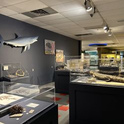 Corpus Christi Museum of Science and History