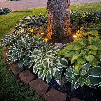 Wojo's Garden Splendors - Nurseries & Gardening Near Me - Davison, Michigan
