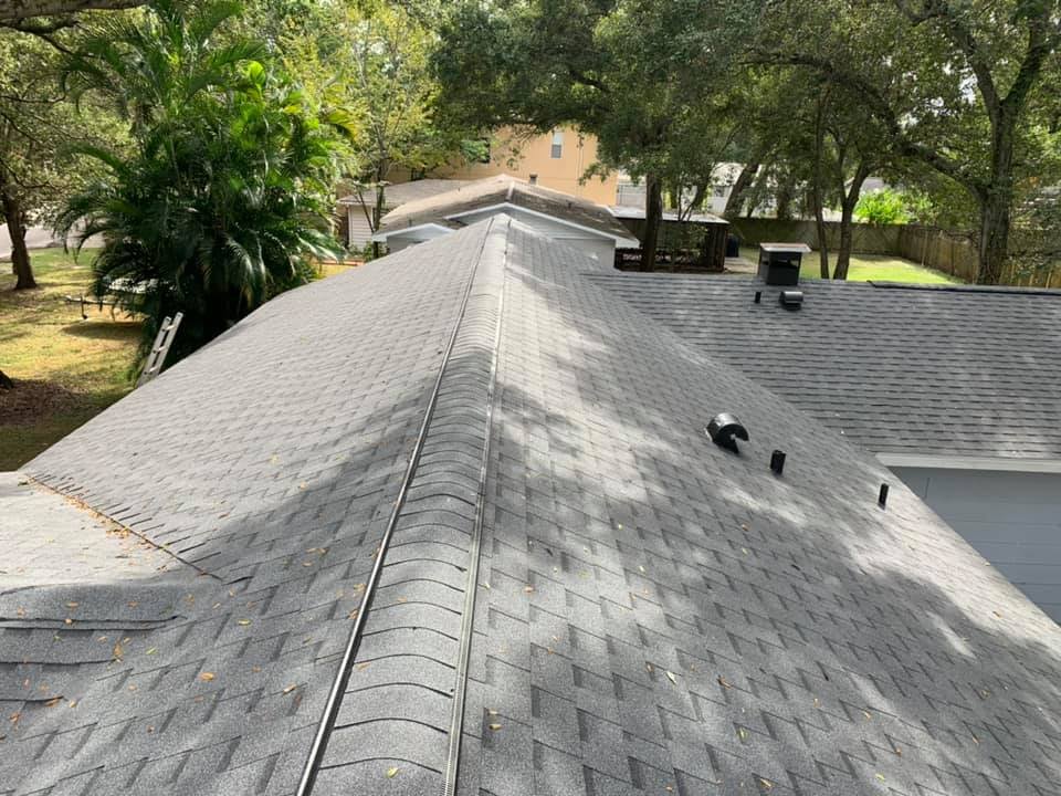 Slide of Florida Building Pros