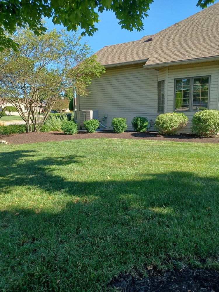 Slide of Better Call Paul