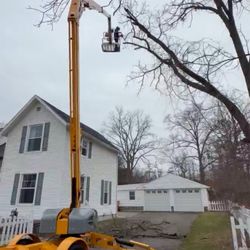 Gillis Tree Solutions