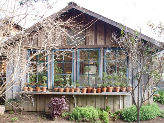 The Apple Farm by null