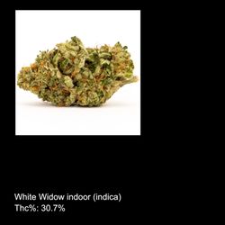 The Flower Shop Delivery 24/7 - White widow top seller around the area
