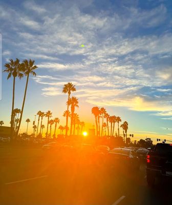 Mission Beach Park by null