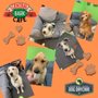 Photo of Central Park Dog Day Care
