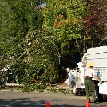 Master Tree Care Inc - Tree Services Near Me - Portland, Oregon Master Tree Care Inc - Tree Services Near Me - Portland, Oregon