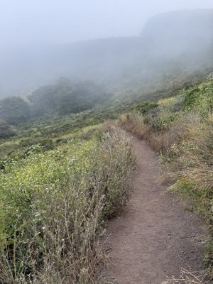 Golden Gate National Recreation Area by null