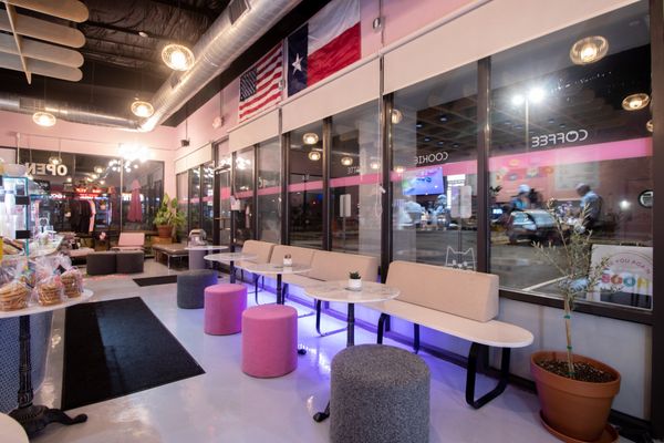 Neon Belly Coffee & Bakery by null