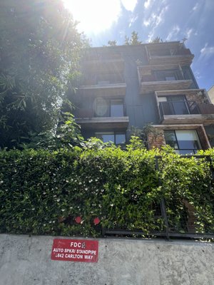 Treehouse Hollywood by null