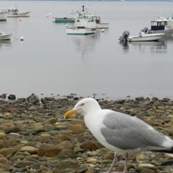 McLaughlin's Lobster Shack - The view