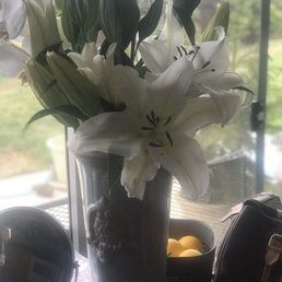Look at these huge blooms & they are still blossoming. So impressive as I have had these buds over a week!! Thank you.