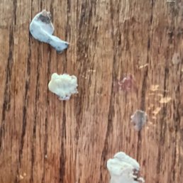 This was under the table This was under the table