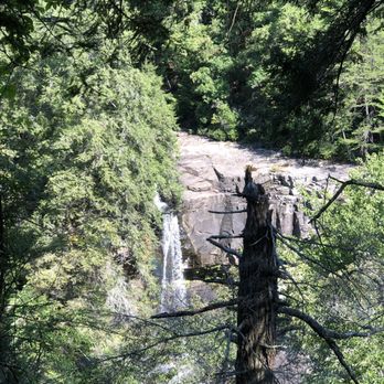 Fall Creek Falls State Park - Waterfall - Parks Near Me - Spencer, Tennessee Fall Creek Falls State Park - Waterfall - Parks Near Me - Spencer, Tennessee