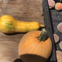 Stonybrook Canyon Farm