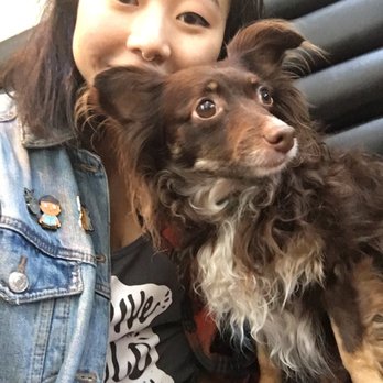 Intelligentsia Coffee - Doggo!! - Coffee & Tea Near Me - Venice, California