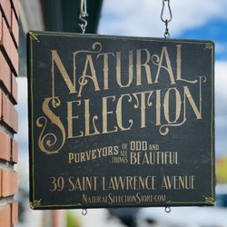 Natural Selection - Store sign.