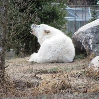 Toronto Zoo - Zoos Near Me - Toronto, Ontario Toronto Zoo - Zoos Near Me - Toronto, Ontario