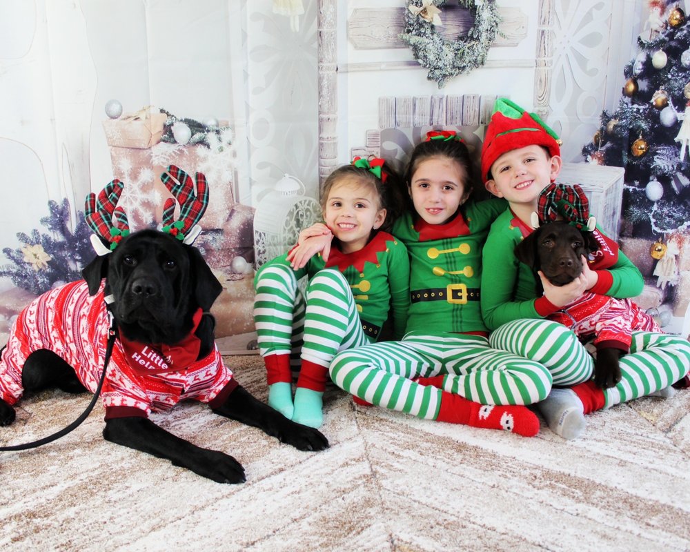 ENDLESS MOUNTAIN LABRADORS 56 Photos Columbia Cross Roads