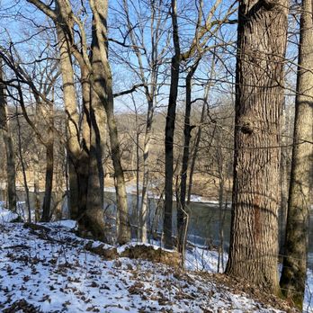 Young Cedar Forest - Hiking Near Me - Louisville, Kentucky