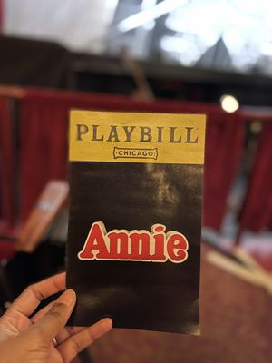 The Chicago Theatre by null