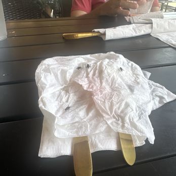 Lazy Oak - Even though I covered my utensils and kept constantly shooing away the flies, they were still there. - Breakfast & Brunch Near Me - Ocean Springs, Mississippi Lazy Oak - Even though I covered my utensils and kept constantly shooing away the flies, they were still there. - Breakfast & Brunch Near Me - Ocean Springs, Mississippi