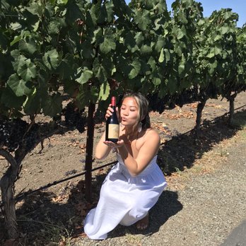 Peju Winery - Wine Tasting Room Near Me - Rutherford, California Peju Winery - Wine Tasting Room Near Me - Rutherford, California