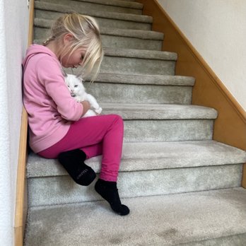 Ragdollkitty Ragdolls - Pet Breeders Near Me - Carlsbad, California