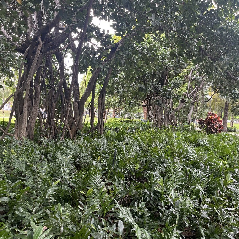Flamingo Park - Beautiful gardens to enjoy - Parks Near Me - Miami Beach, Florida Flamingo Park - Beautiful gardens to enjoy - Parks Near Me - Miami Beach, Florida