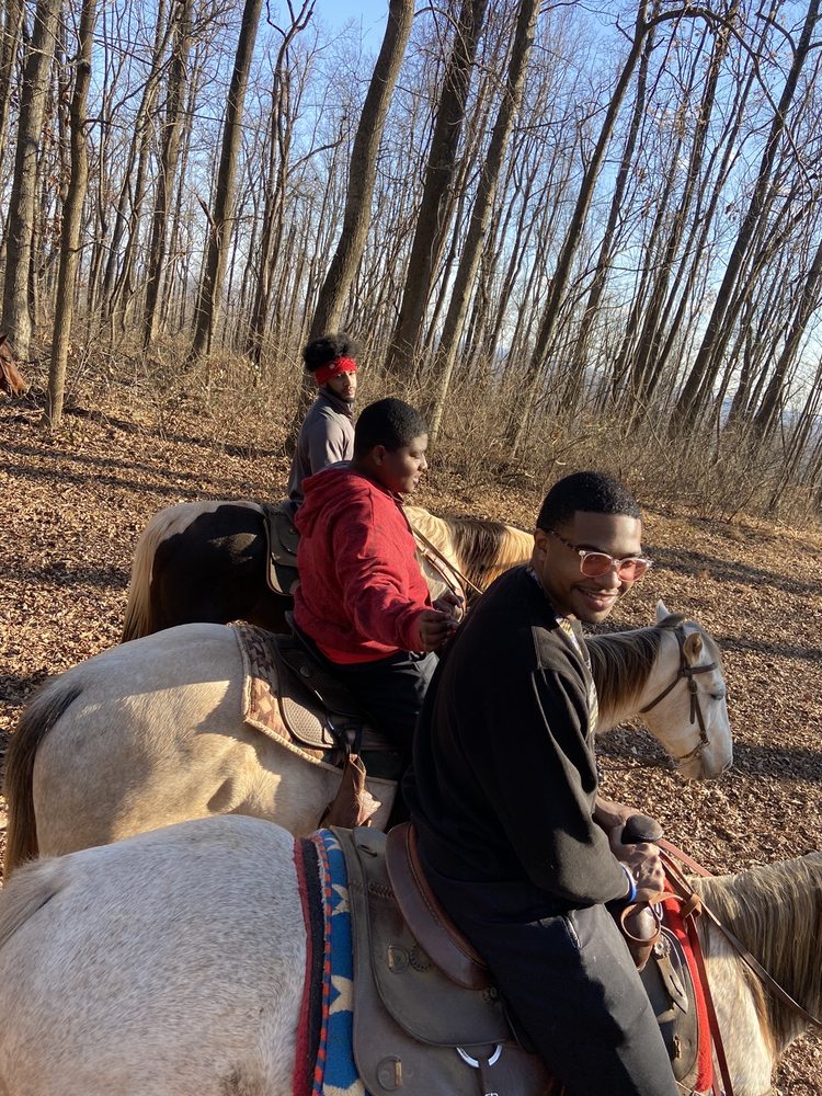 OAKLAND HEIGHTS FARM Updated August 2024 50 Photos 17110 James