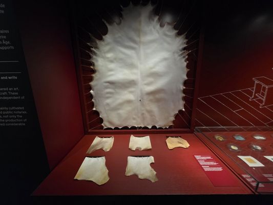 Abbey Library of Saint Gall by null