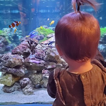 Telus World of Science - Museums Near Me - Edmonton, Alberta Telus World of Science - Museums Near Me - Edmonton, Alberta